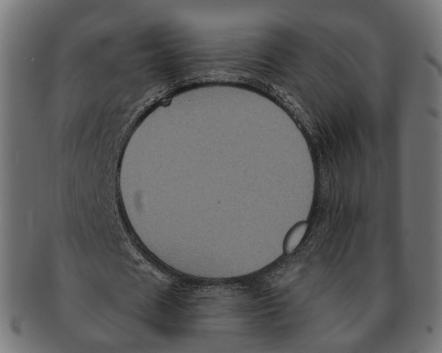 X0000091730625200709211020