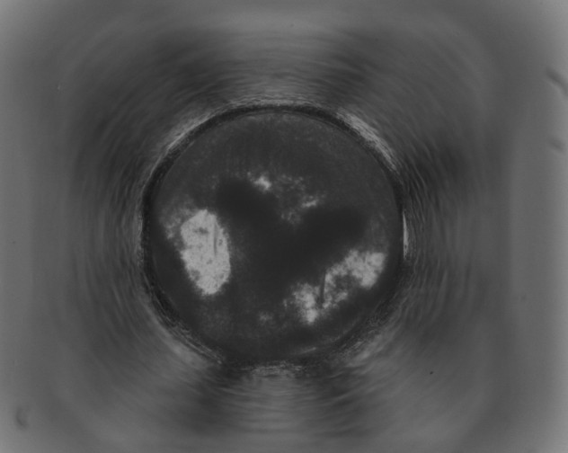 X0000091730627200709211020