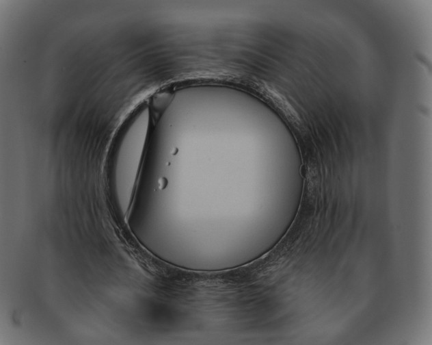 X0000091730628200709211020