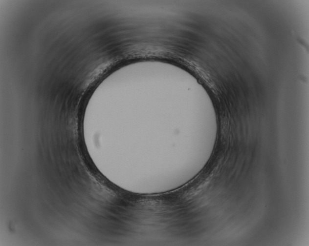 X0000091730629200709211020