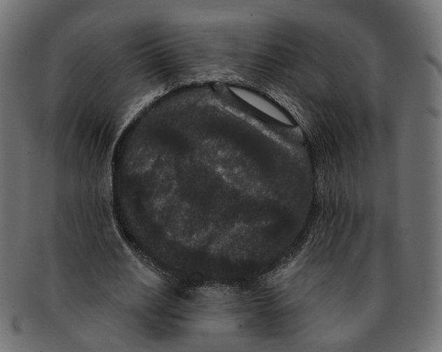 X0000091730630200709211020