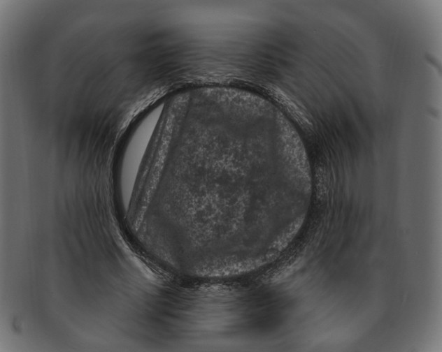 X0000091730634200709211020