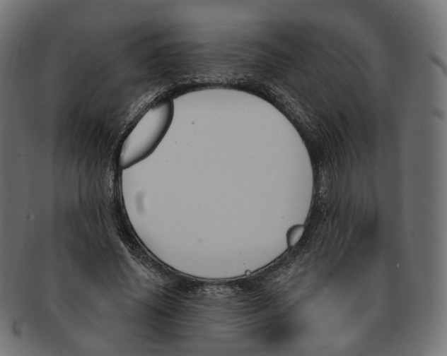 X0000091730636200709211020