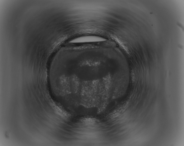 X0000091730637200709211020