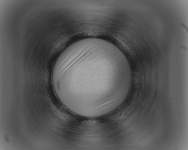 X0000091730639200709211021