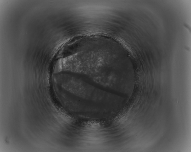 X0000091730640200709211021