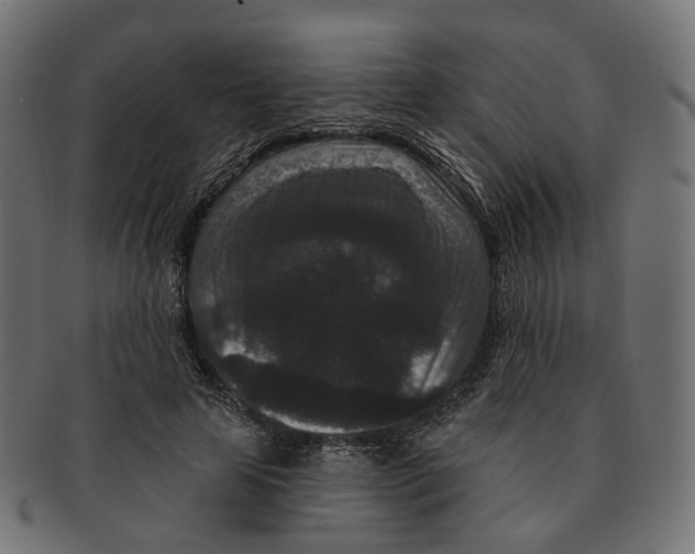 X0000091730641200709211021