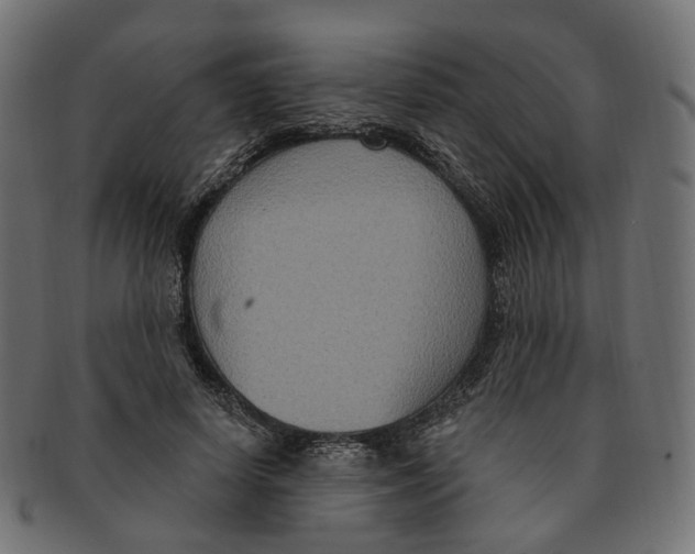 X0000091730642200709211021