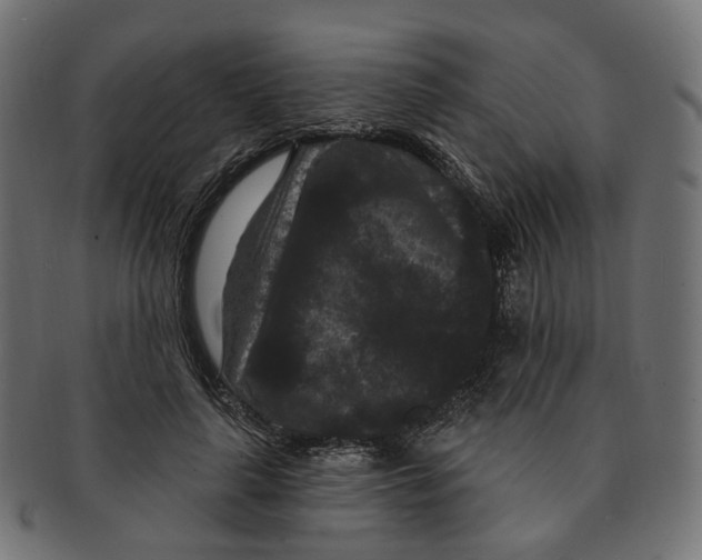 X0000091730643200709211021