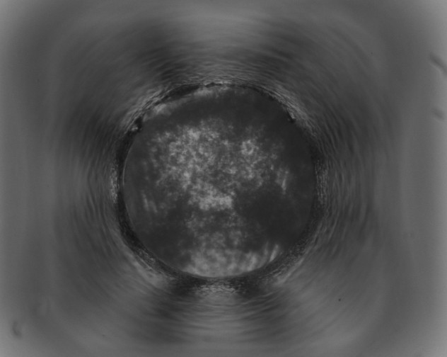 X0000091730644200709211021