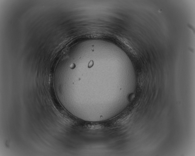 X0000091730645200709211021