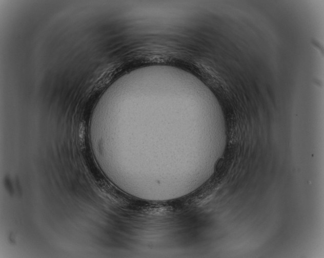 X0000091730646200709211021