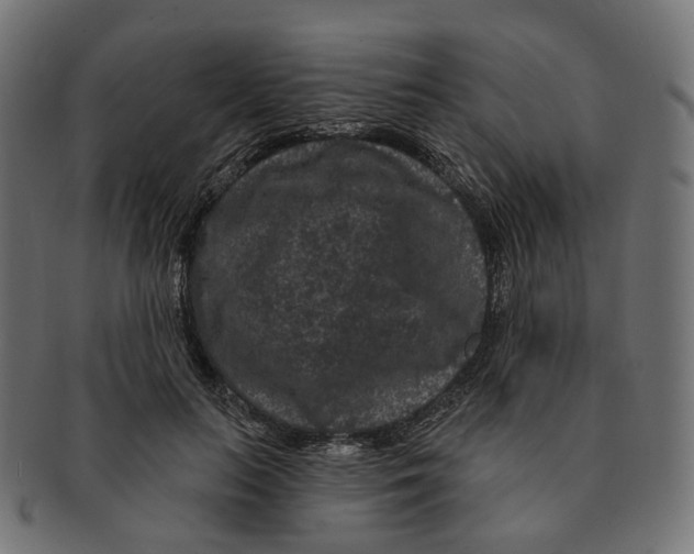 X0000091730647200709211021