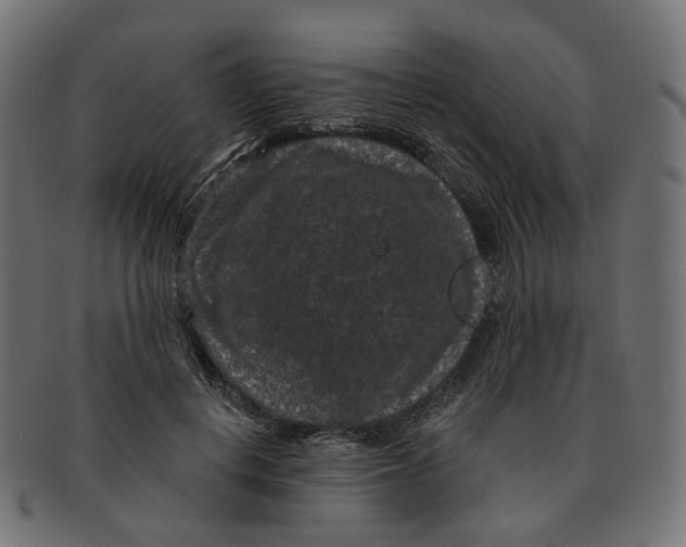 X0000091730648200709211021