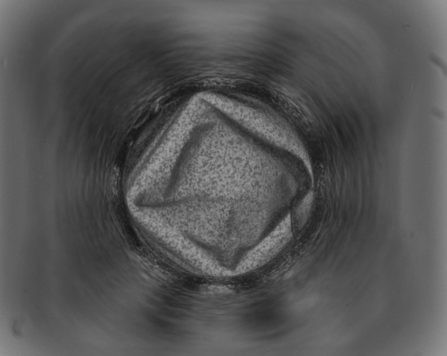 X0000091730649200709211021