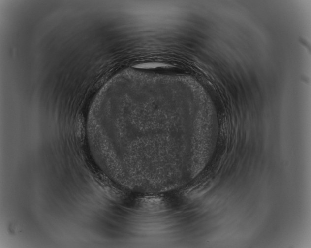 X0000091730651200709211021