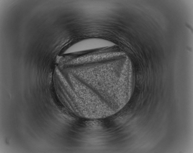 X0000091730652200709211021