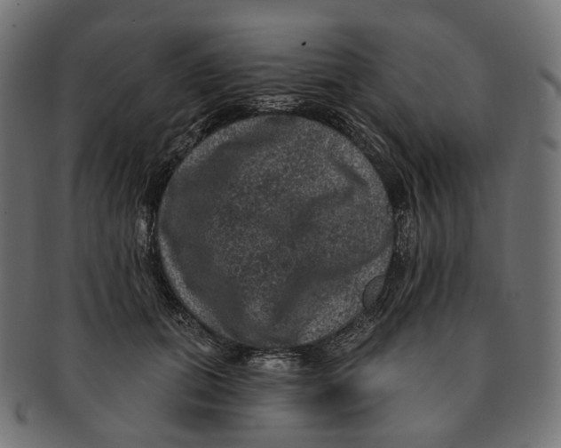 X0000091730655200709211021