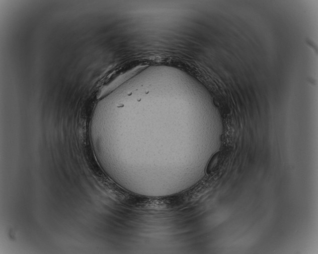 X0000091730656200709211021