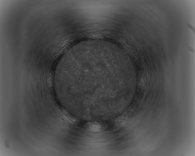 X0000091730658200709211021