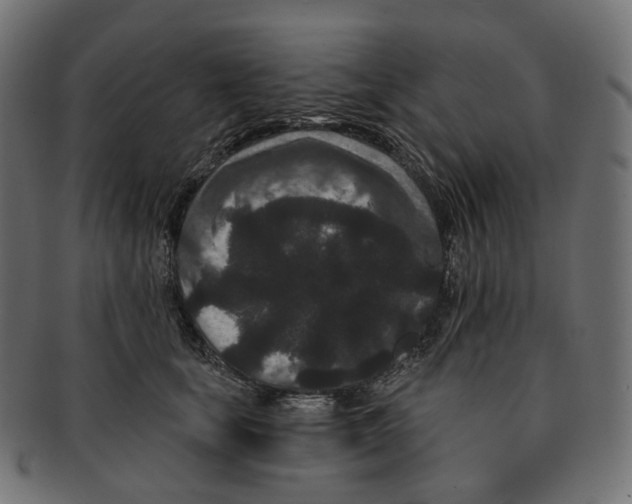 X0000091730659200709211021