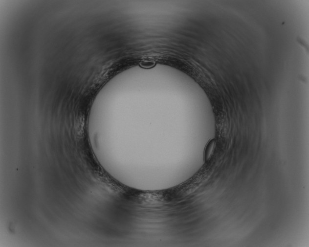 X0000091730660200709211021