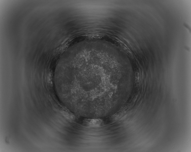 X0000091730663200709211021