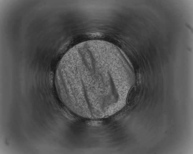 X0000091730664200709211021