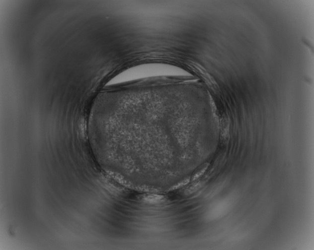 X0000091730669200709211021