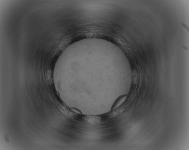 X0000091730670200709211021