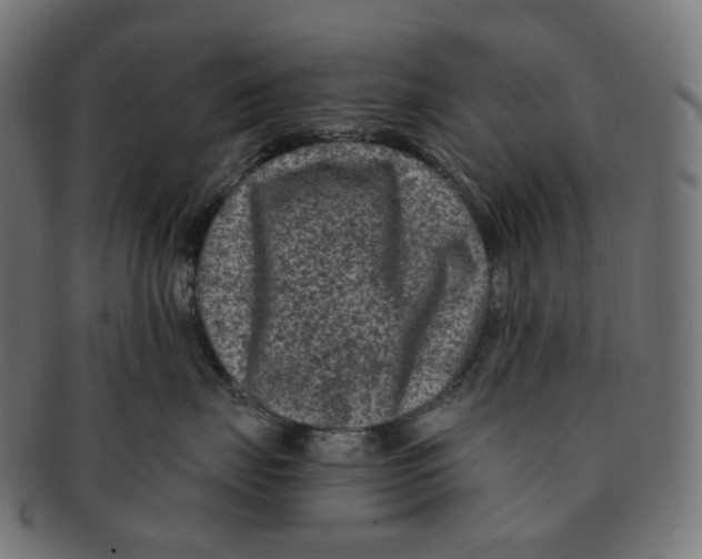 X0000091730671200709211021