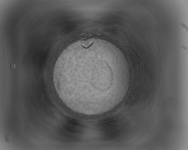 X0000091730672200709211021