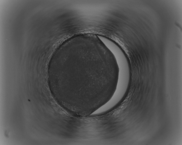 X0000091730673200709211020