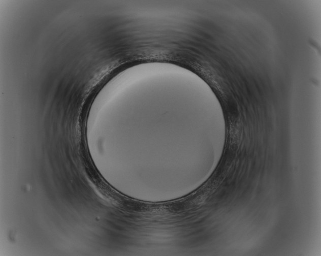 X0000091730674200709211020