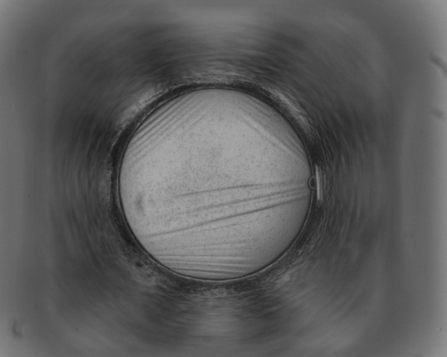 X0000091730675200709211020