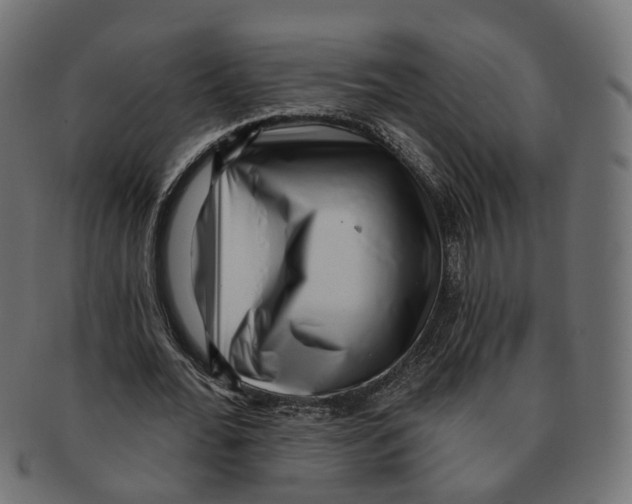 X0000091730676200709211020