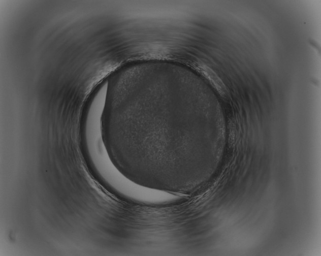 X0000091730677200709211020