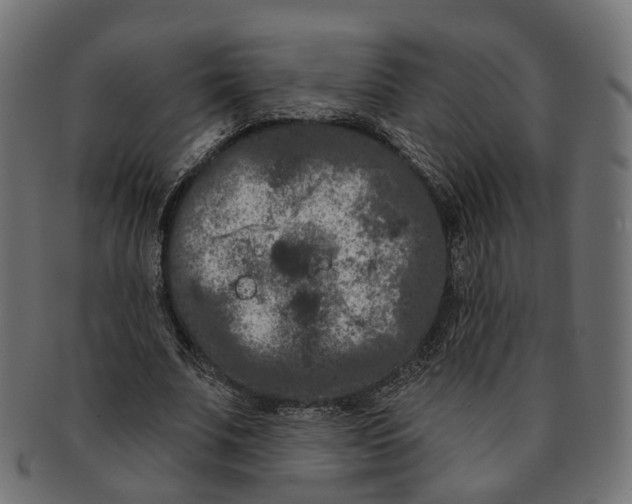 X0000091730679200709211020