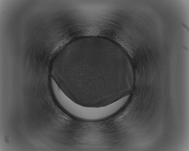 X0000091730681200709211020