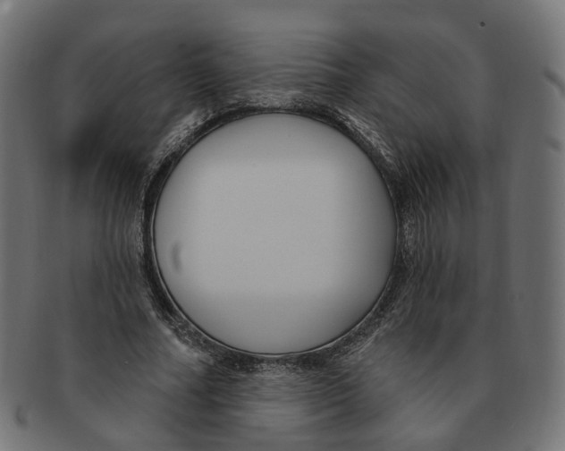 X0000091730682200709211020