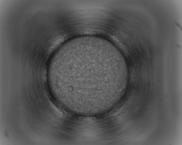 X0000091730683200709211020