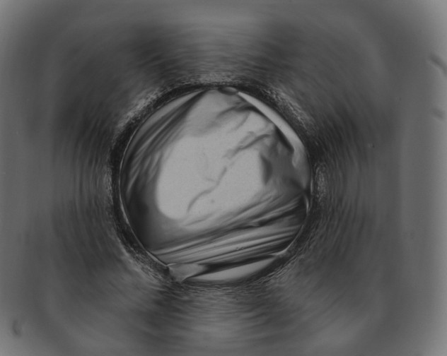 X0000091730684200709211020