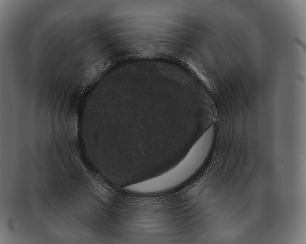 X0000091730685200709211020