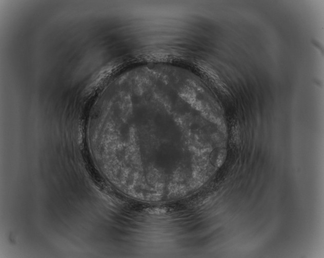 X0000091730687200709211020