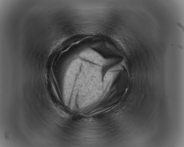 X0000091730688200709211020