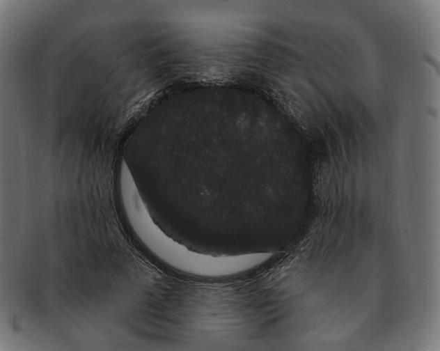 X0000091730689200709211020