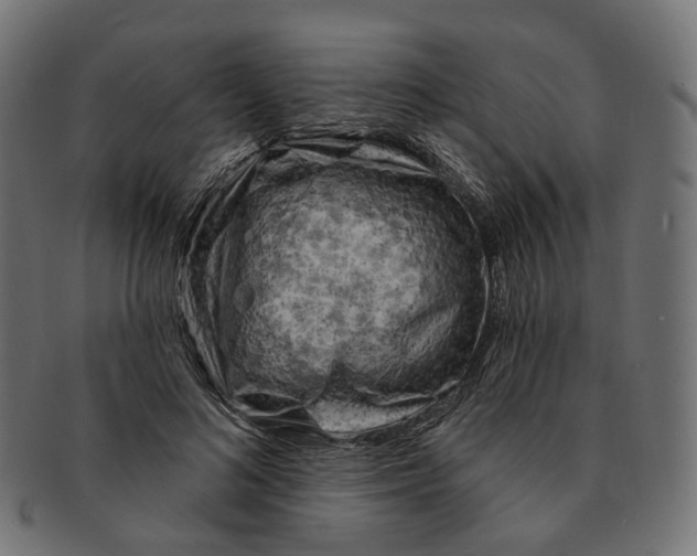 X0000091730692200709211020