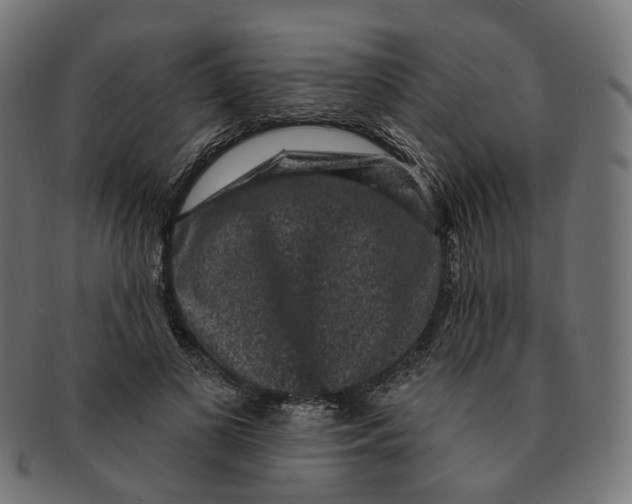 X0000091730693200709211020