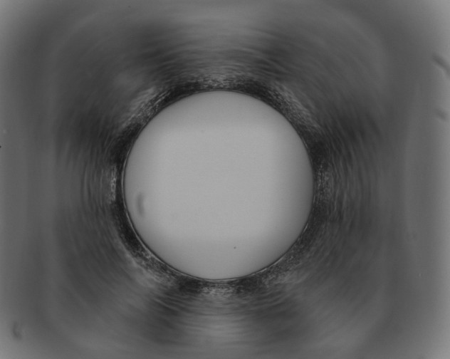 X0000091730694200709211020