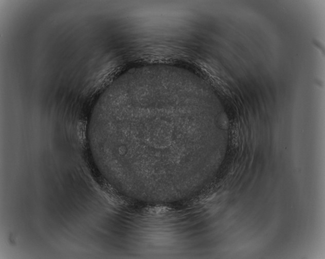 X0000091730695200709211020